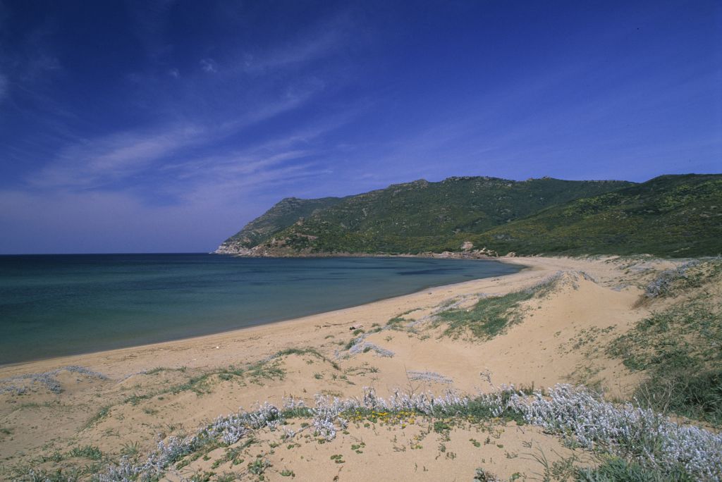 Porto Ferro, la spiaggia &quot;Bandiera Blu&quot; di Sassari