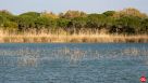 Lo stagno di Platamona. Tra ginepri profumati e birdwatching