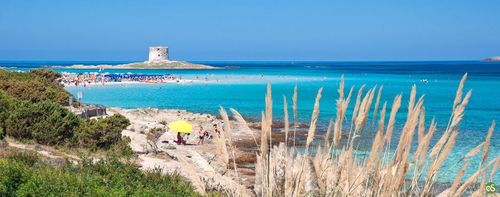 La Pelosa di Stintino. Una delle più belle spiagge al mondo