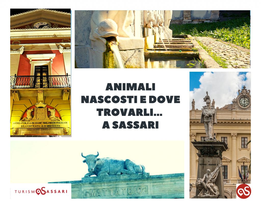 Animali nascosti e dove trovarli... a Sassari